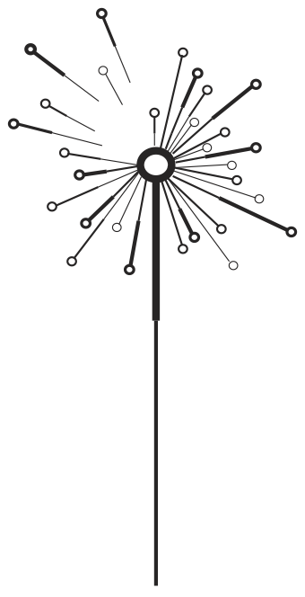 Acupuncture Roxan Noël