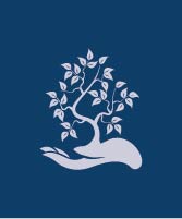 Justin Perreault D.O.