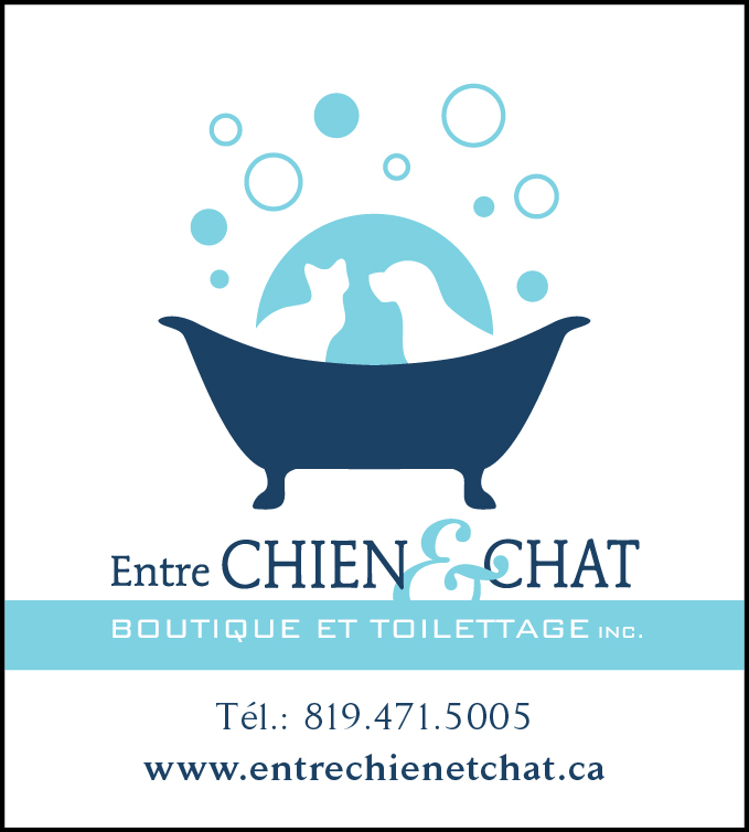 Entre chien & chat 2.0