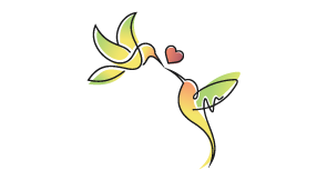 CSM Conseils et soins à la maison