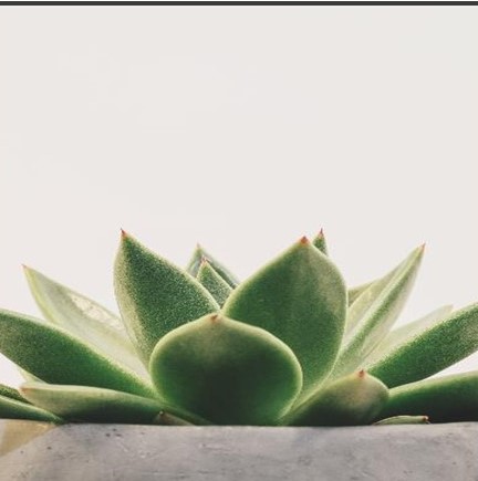 Massothérapie LB - Lucie Bisson