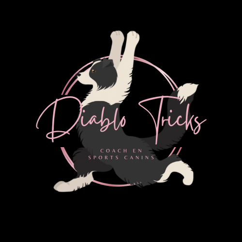 Diablo Tricks et Pitougraphe