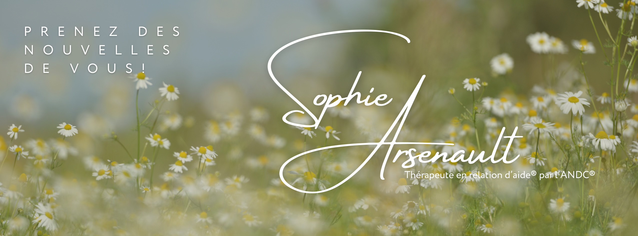 Sophie Arsenault, TRA