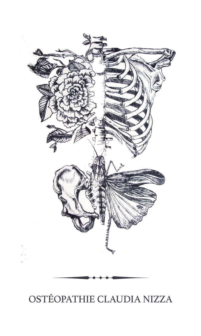 Approche Ostéopathie Claudia Nizza