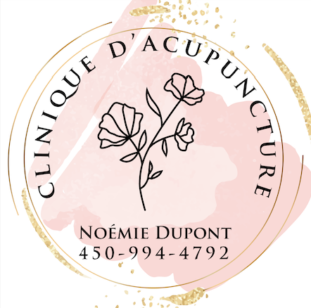 Clinique d'acupuncture - Noémie Dupont