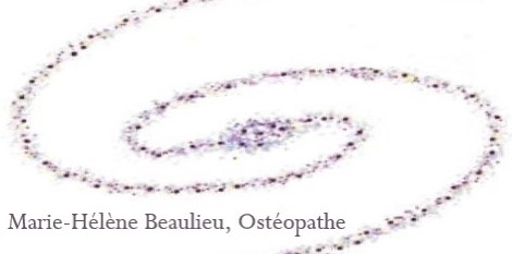 7464 rue St-Denis Montréal