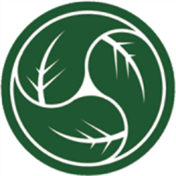 Art Synergique masso-kiné-ortho