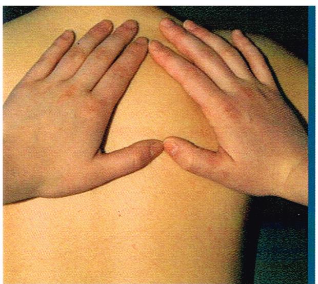 Clinique France Lamoureux