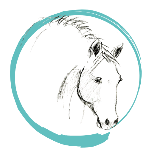 Marie Josée Marcoux - Facilitatrice et coach équin