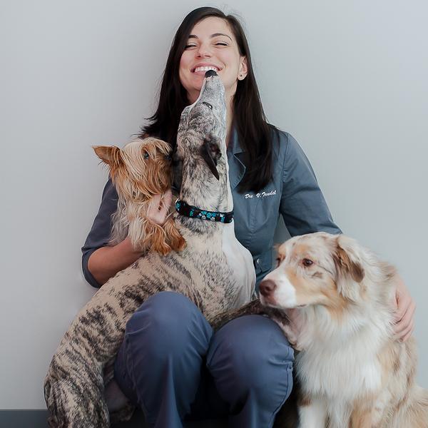 Bureau vétérinaire Alliance santé inc.