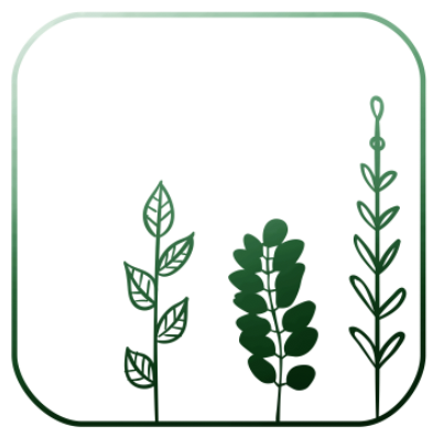 Ostéopathie Stéphanie St-Laurent