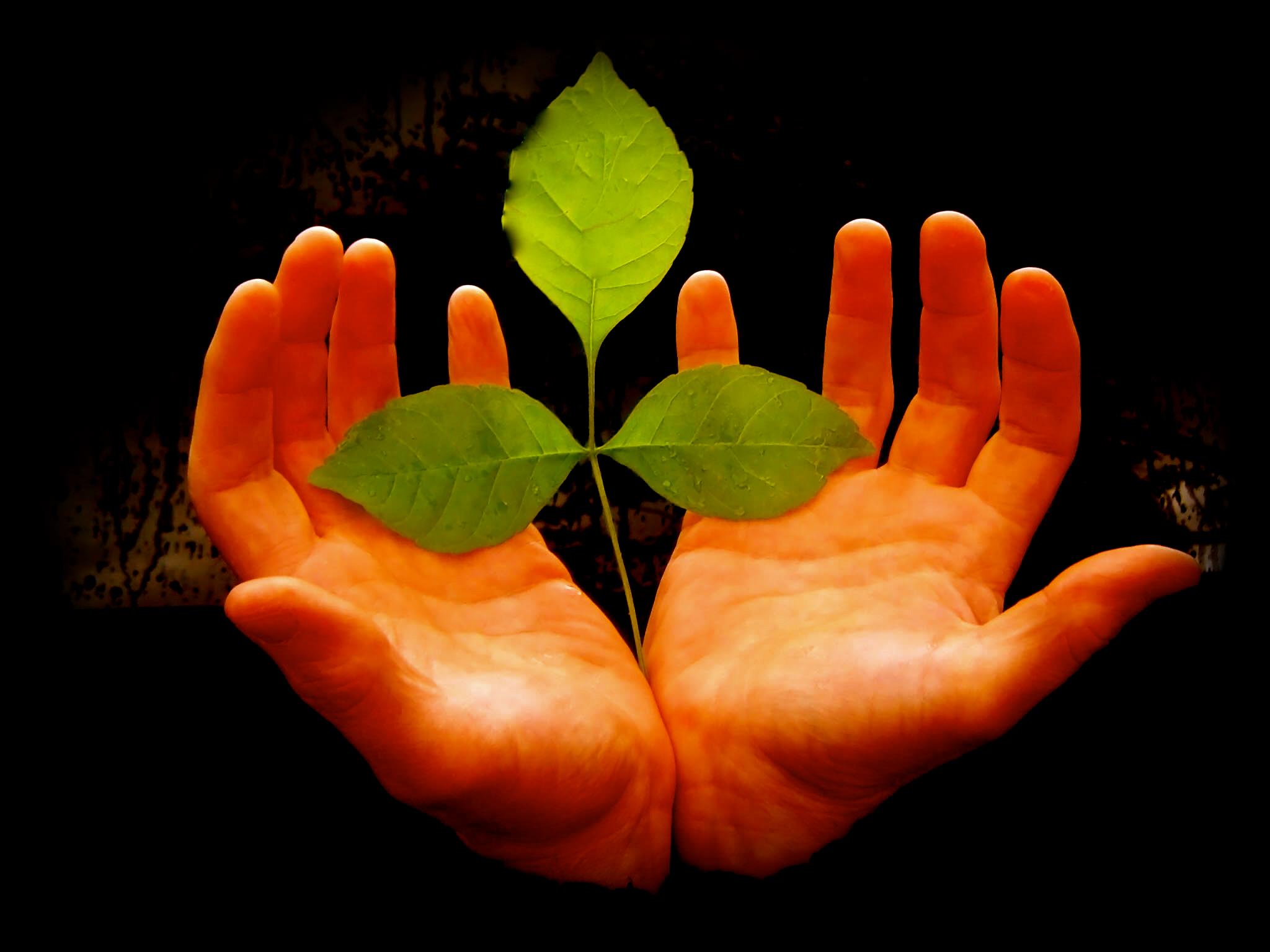 Kinésithérapie Glen Morris