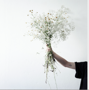 L'Orangeraie · espace thérapeutique