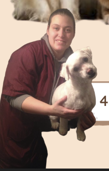 Studio canifeli mobile