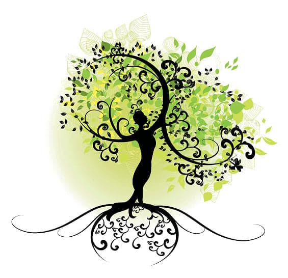 Orthothérapie & Massothérapie Marie-Pierre Lecours