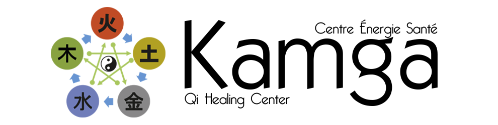 Centre Énergie Santé Kamga