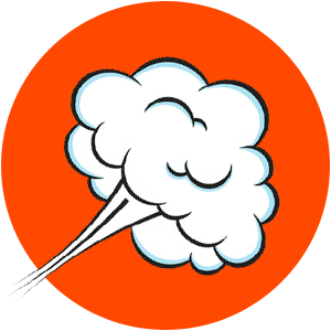 Dirigeant Julien Sud de l'île