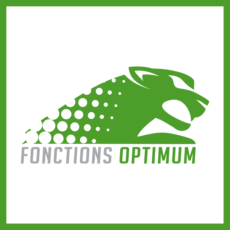 Fonctions Optimum