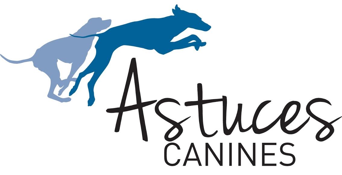 Astuces Canines inc.