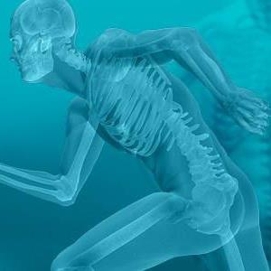 Sébastien Gravel D.O.   Kin.