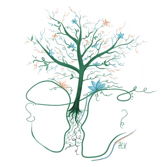 Clinique de Sexologie de Québec