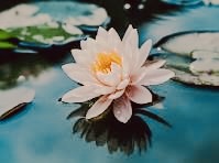 Lyne Ménard - Clinique La Petite Voix