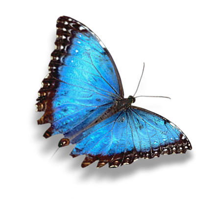 Sandrine Pitelet, Massothérapeute