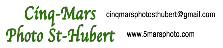 Cinq-Mars Photo St-Hubert