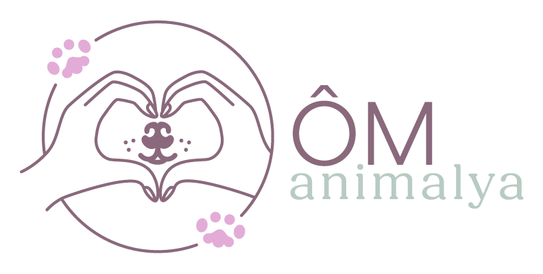 Ôm animalya