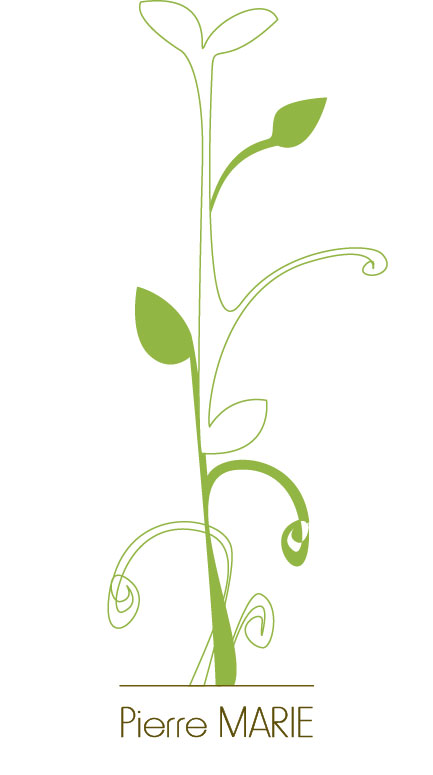 clinique Pierre Marie