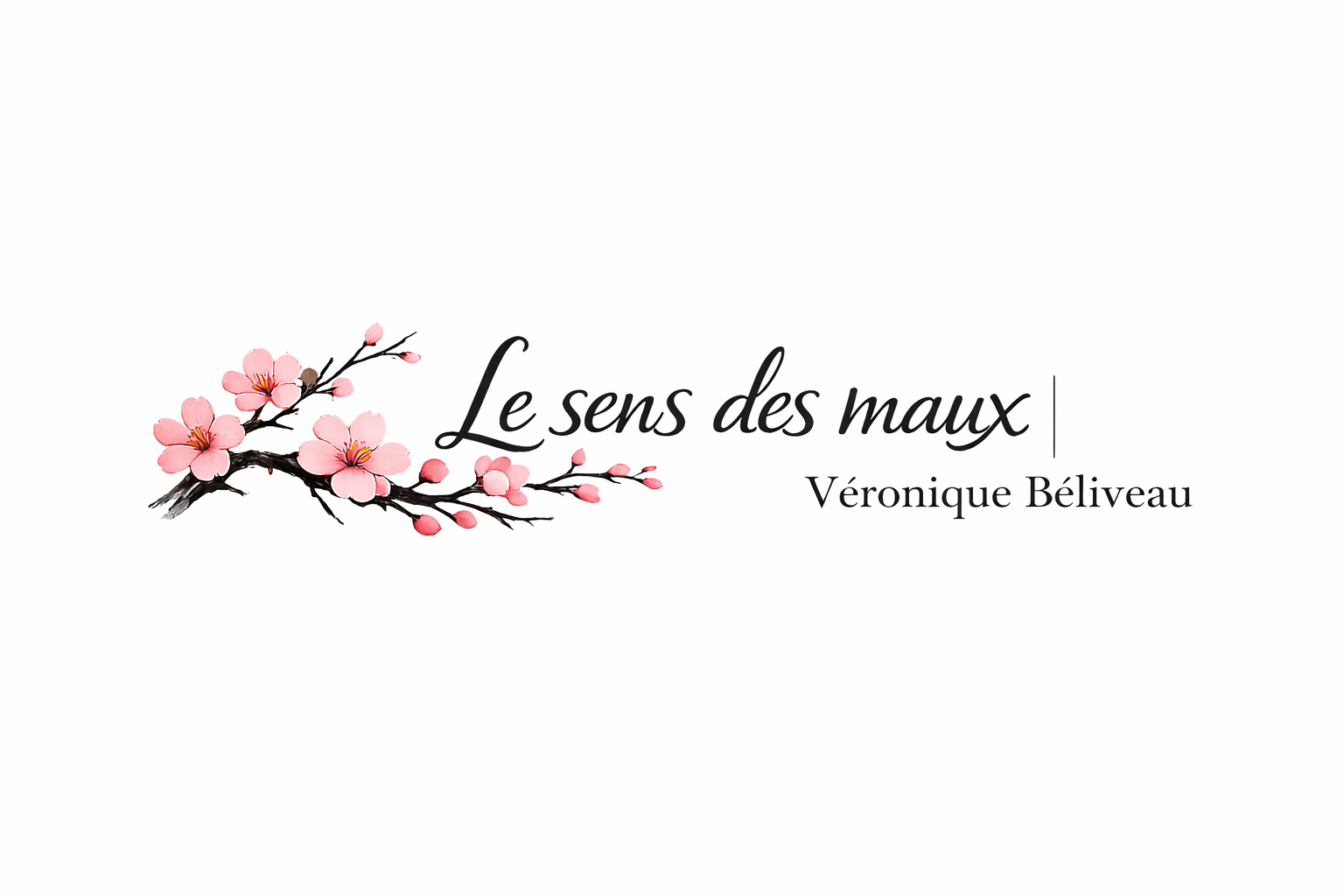 Le sens des maux | Véronique Béliveau