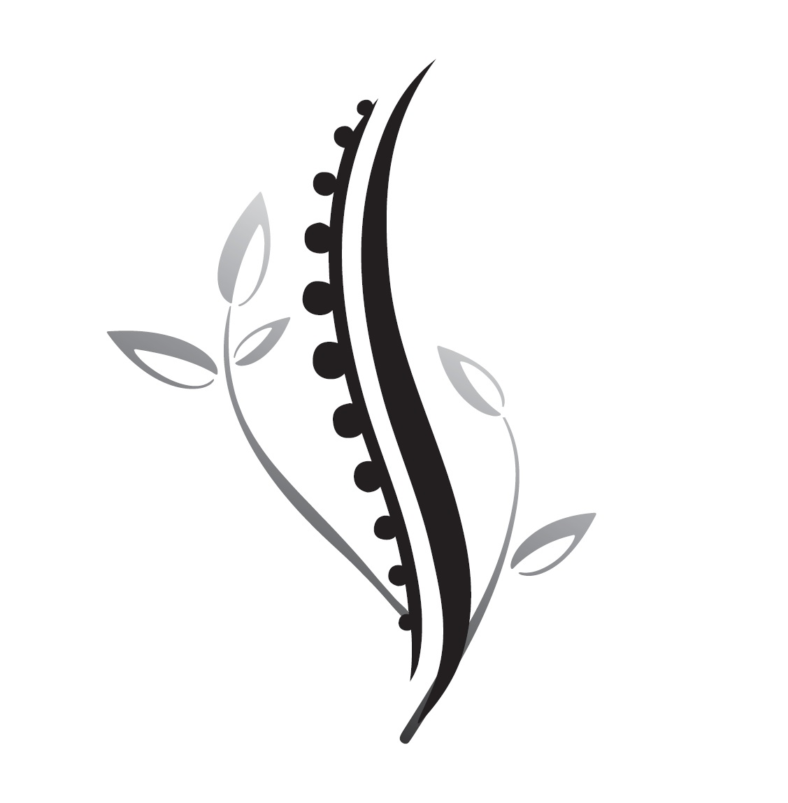 Chiropratique Synergie Santé