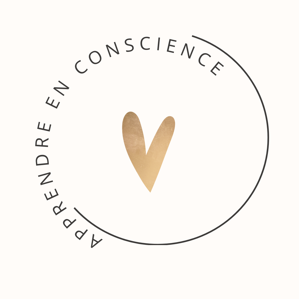 Julie Chauvin, Orthopédagogue