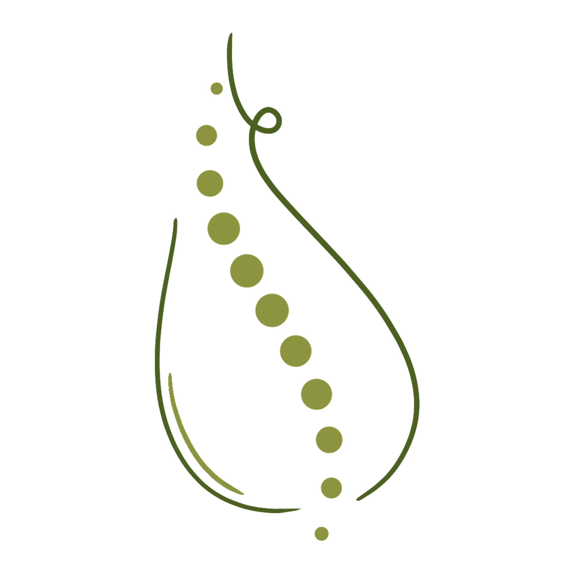 Santé Chiropratique Essentielle