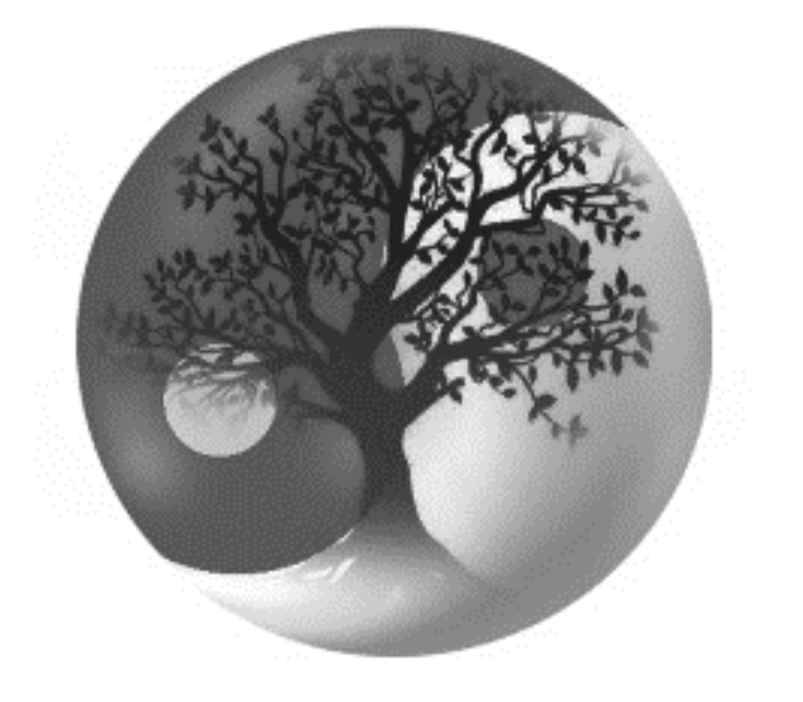 Clinique d'Acupuncture Zhen Li