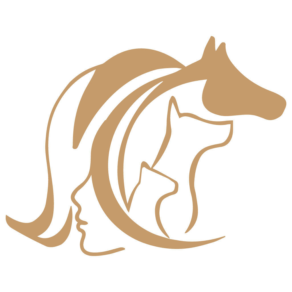 Humanimaux, Santé globale pour l'être et son compagnon