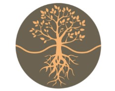 Studio l'Ouverture de Soi