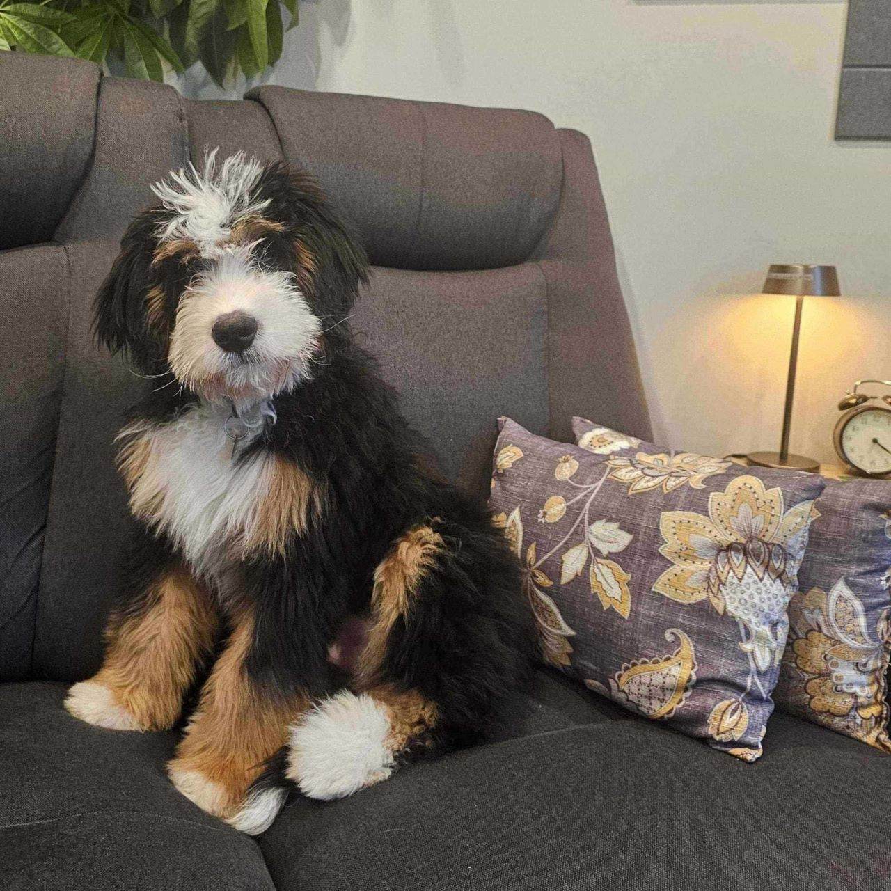 Wendy Roberge infirmière psychothérapeute