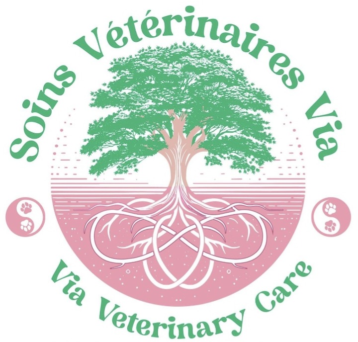 Soins vétérinaire Via/Via Veterinary Care