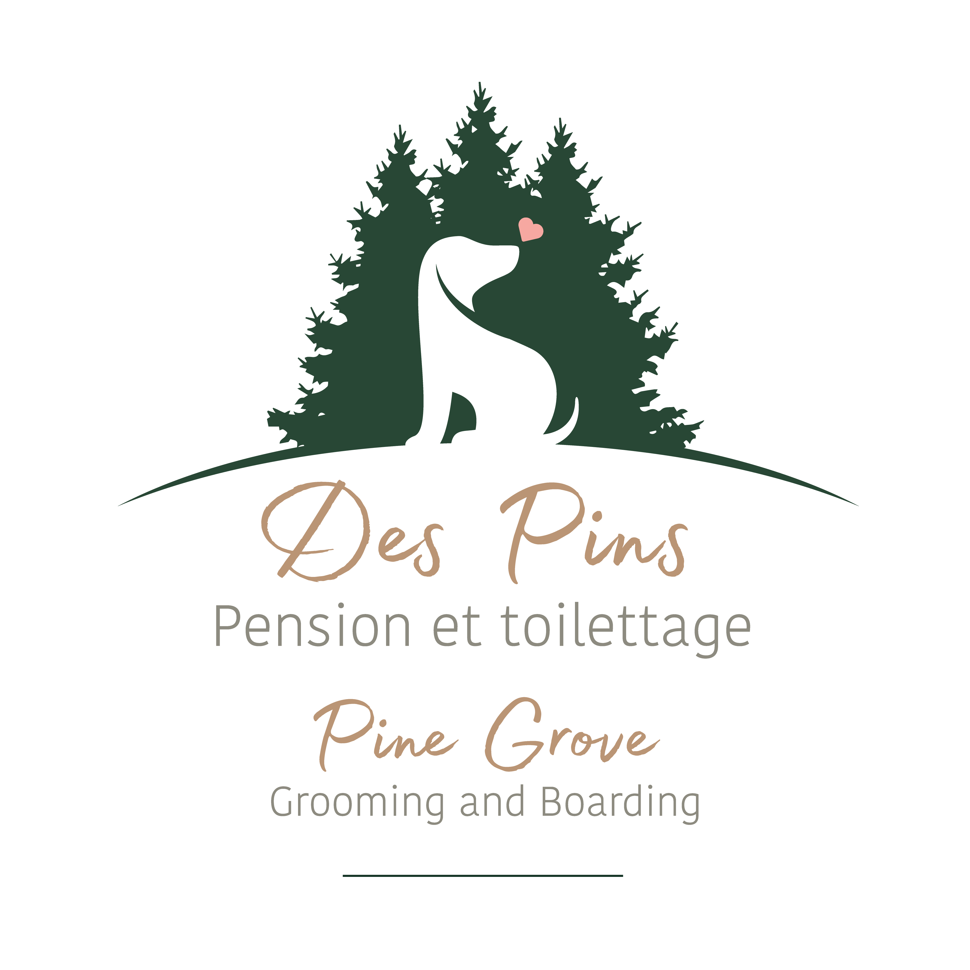 Sarah-Maude / Des Pins Toilettage et Pension