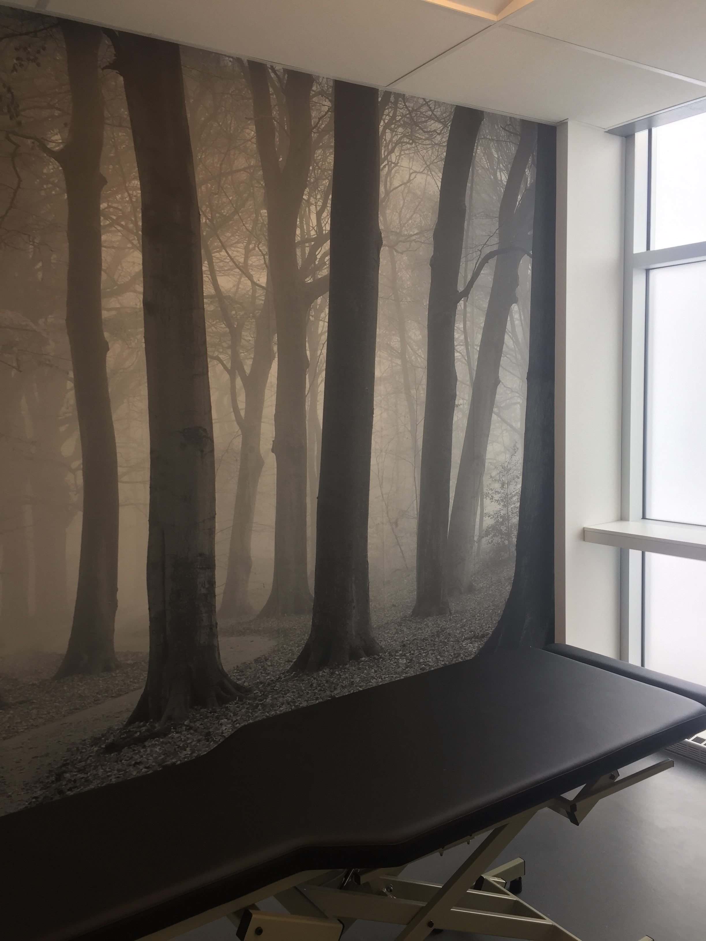 Clinique Évolution Terrebonne (Ostéopathie et Massothérapie)