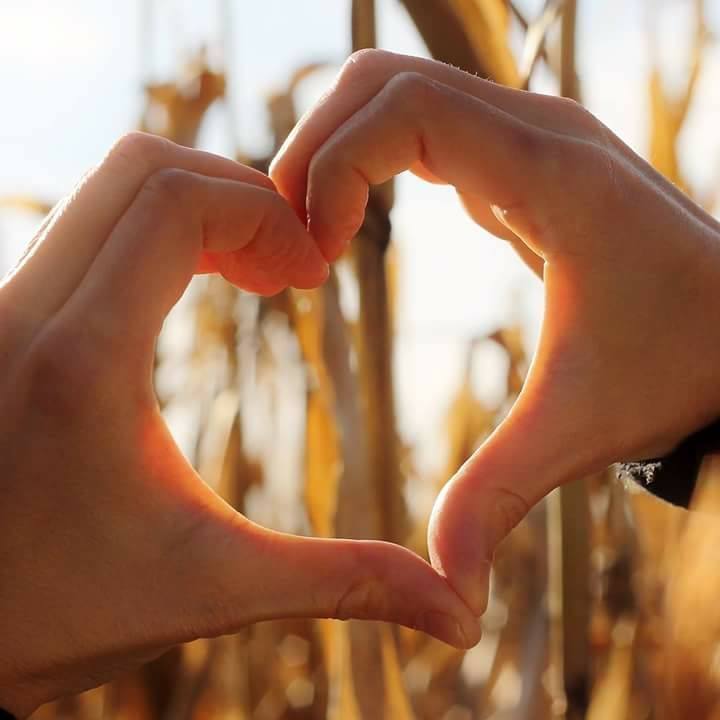 Jessyka Bilodeau Durain, Massothérapeute