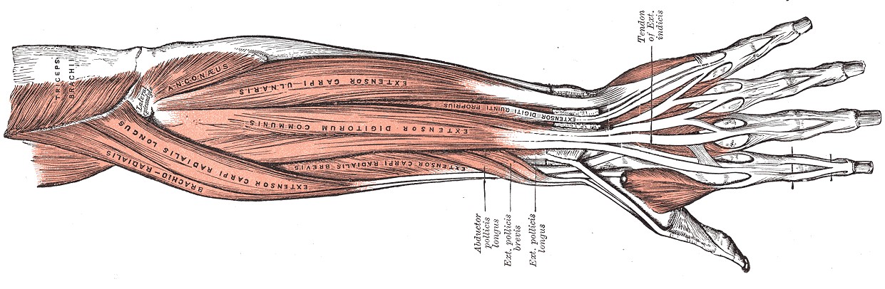 Lee Walder Massage Therapist