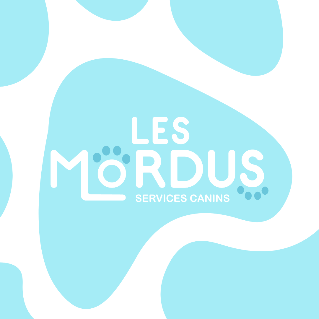 LES MORDUS | SERVICES CANINS