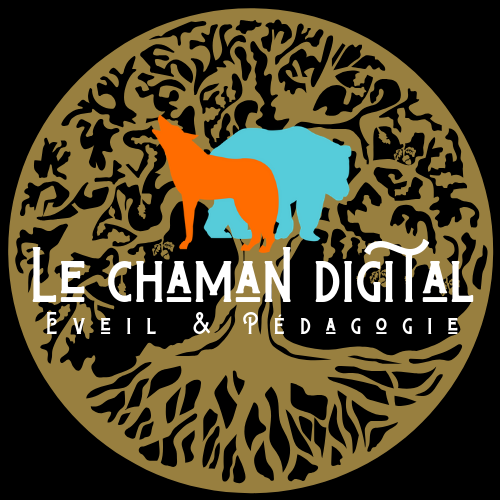 Le chaman digital