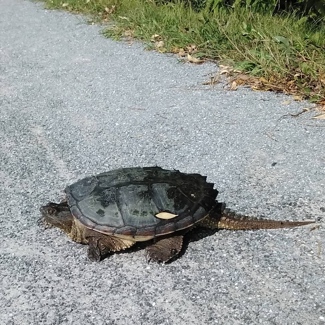 COMPTE TEST - Remise en forme - OFFRE DE SERVICE FICTIVE