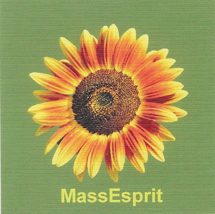 Massotherapie MassEsprit