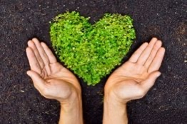 Annie Poirier coaching