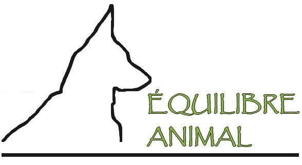 Équilibre Animal