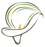 Caroline Bernier Massothérapeute 